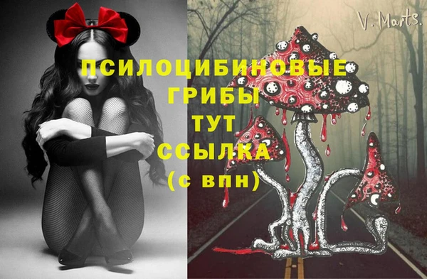 прущая мука Бородино