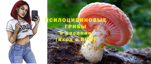 mdpv Белокуриха