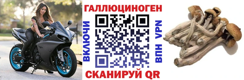 Псилоцибиновые грибы GOLDEN TEACHER  Губкинский 